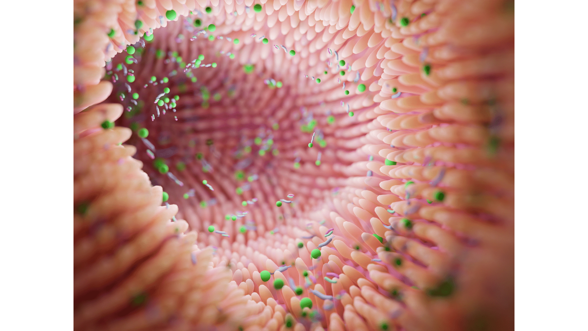 Iamfluidics Post Gastric Release