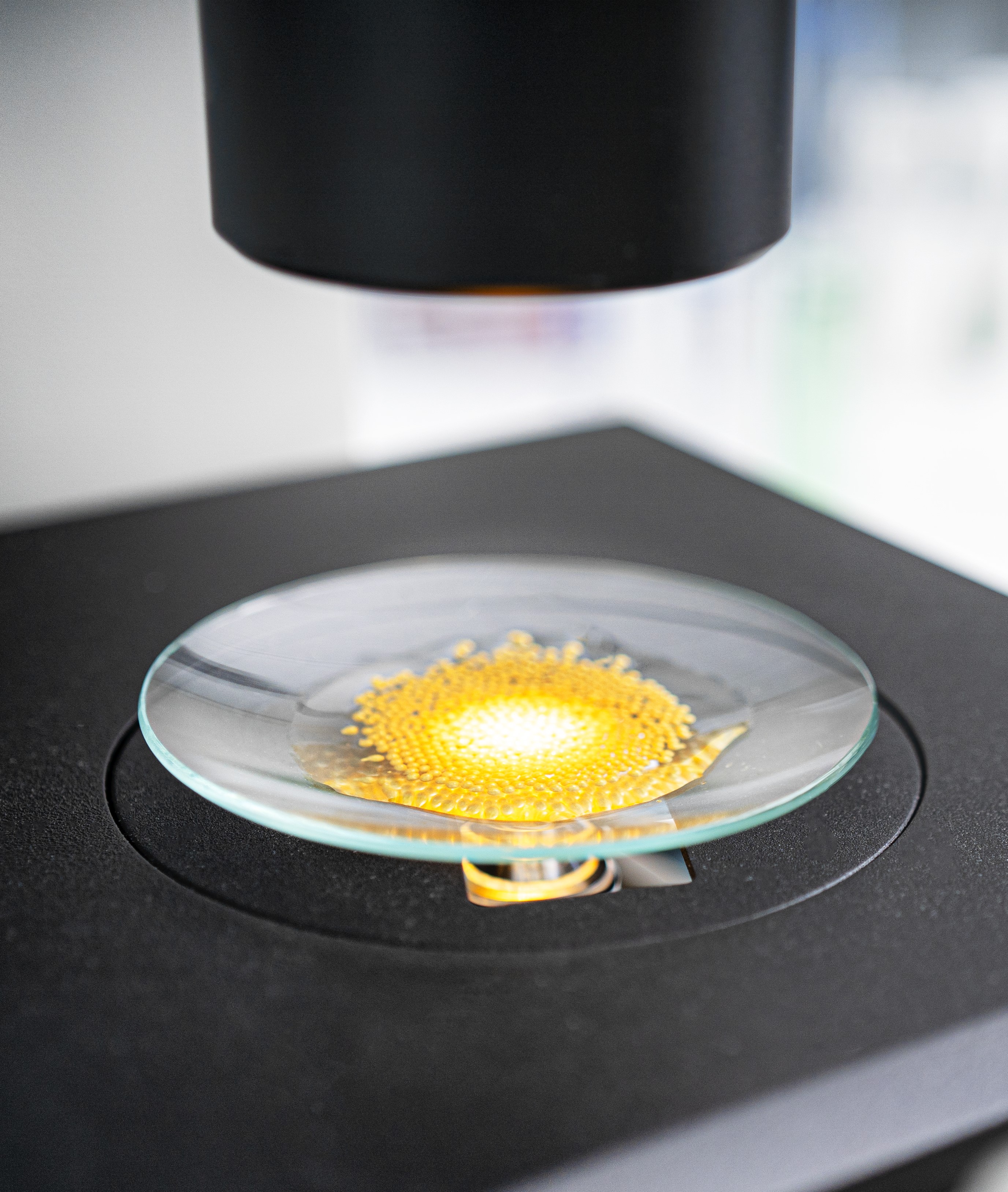 Iamfluidics Laboratory